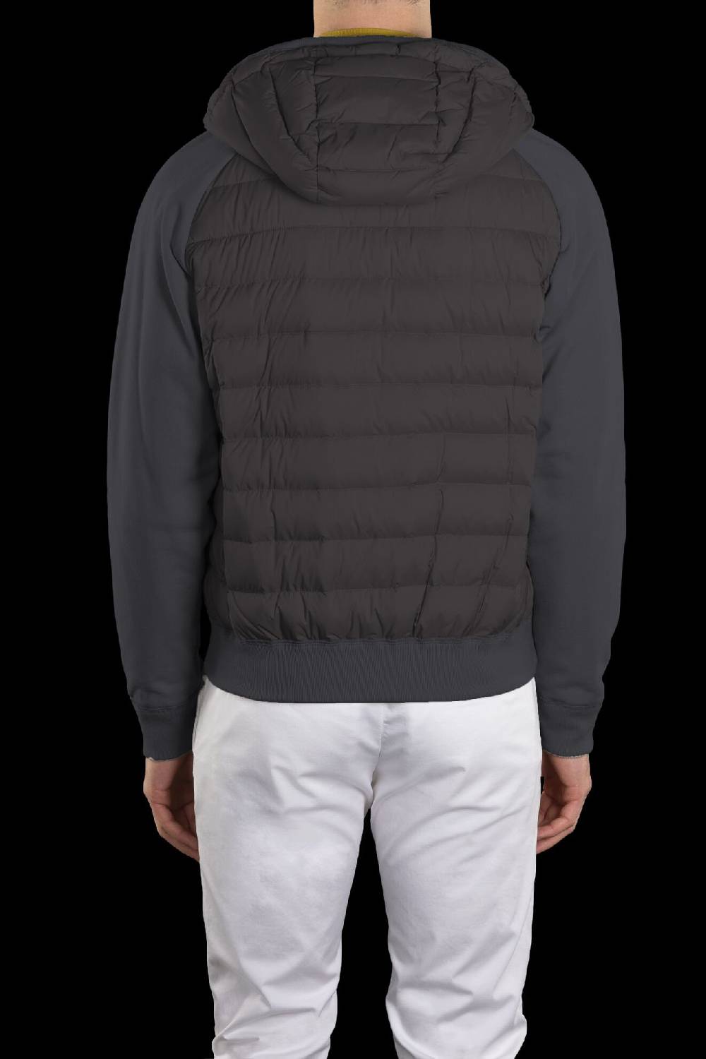 Moorer Bomber CHIRICO-S3F Shopping Online