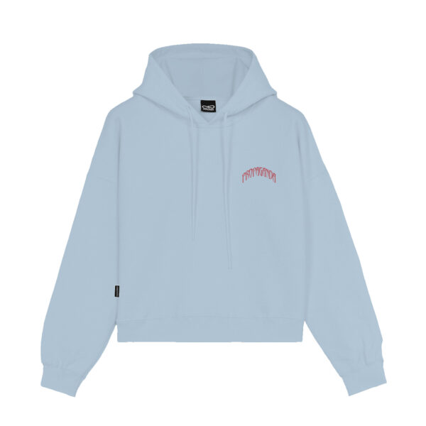 Propaganda Triangle Bengala Hoodie Crop Top – Sky Saldi