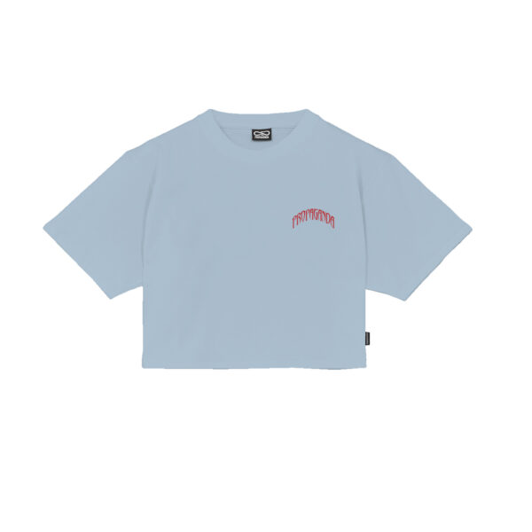 Propaganda Triangle Bengala Crop Top Tee – Sky Vendita Economica