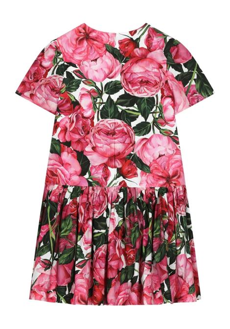 DOLCE & GABBANA KIDS Abito Con Stampa Di Rose Su Sfondo Bianco - DOLCE & GABBANA KIDS Moda