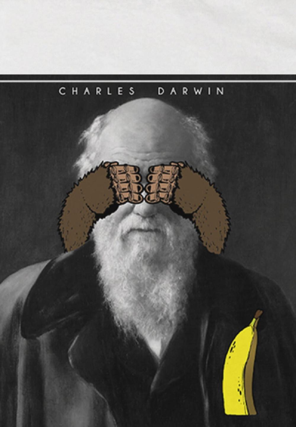 Seetees Darwin Sottocosto