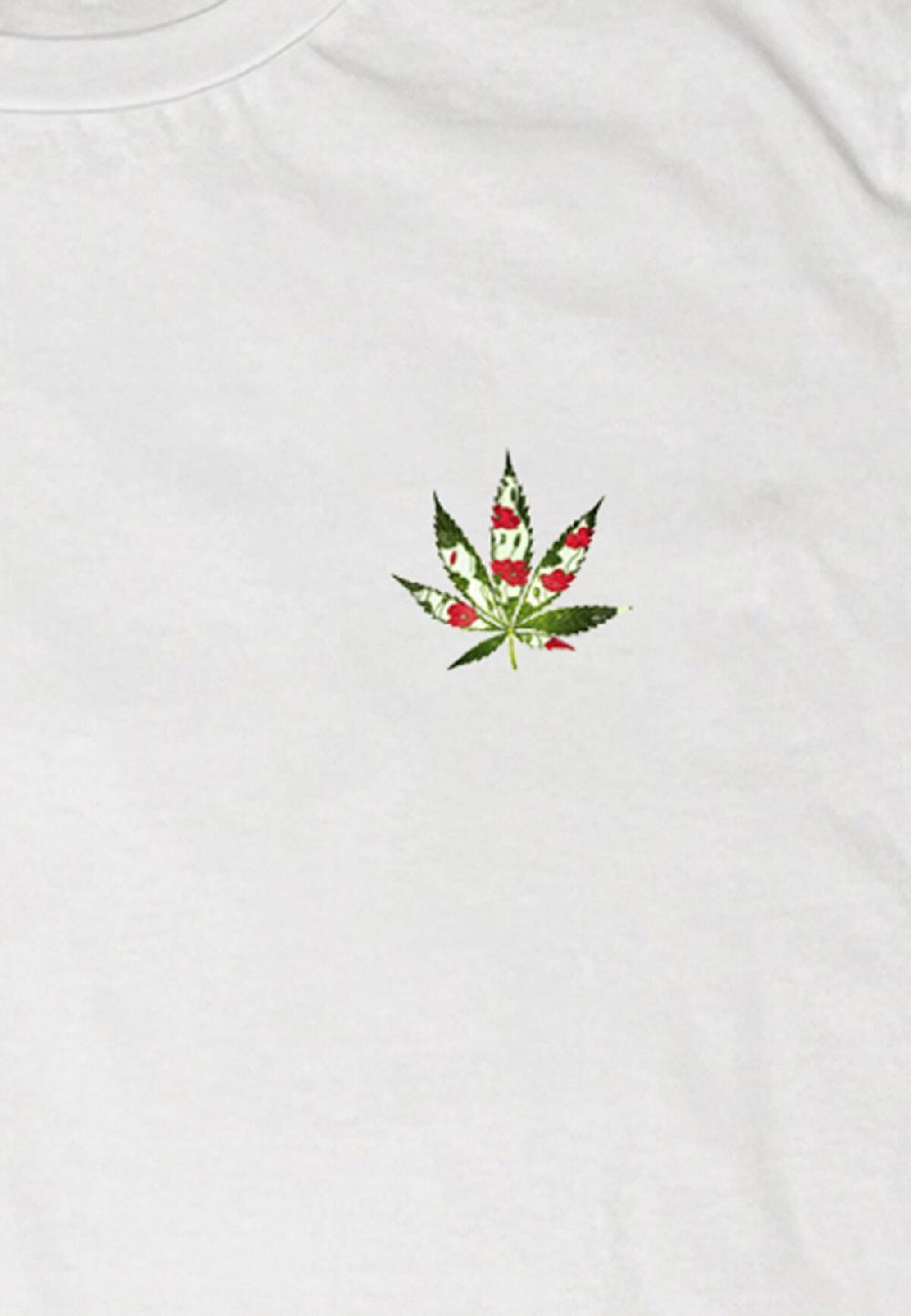 Seetees Jimi's powe Soddisfazione Garantita