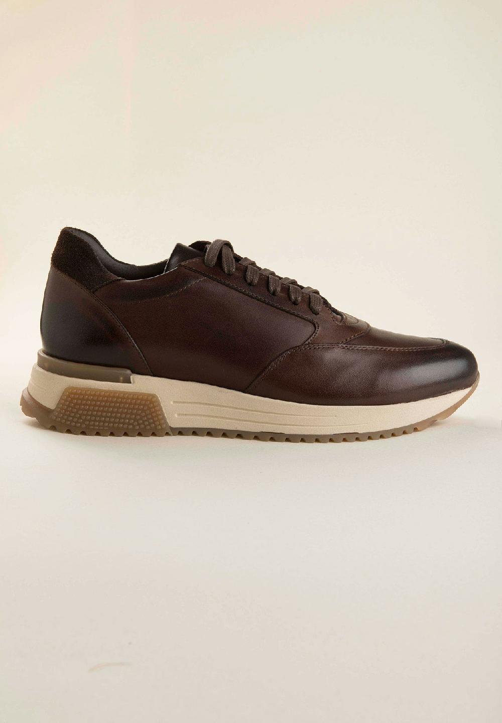 Angelico Sneakers moro pelle Online